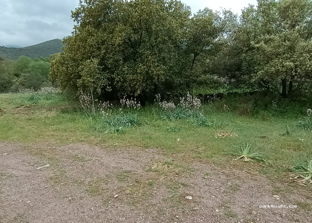 (20236) Omessa - Unnamed road — foto 2