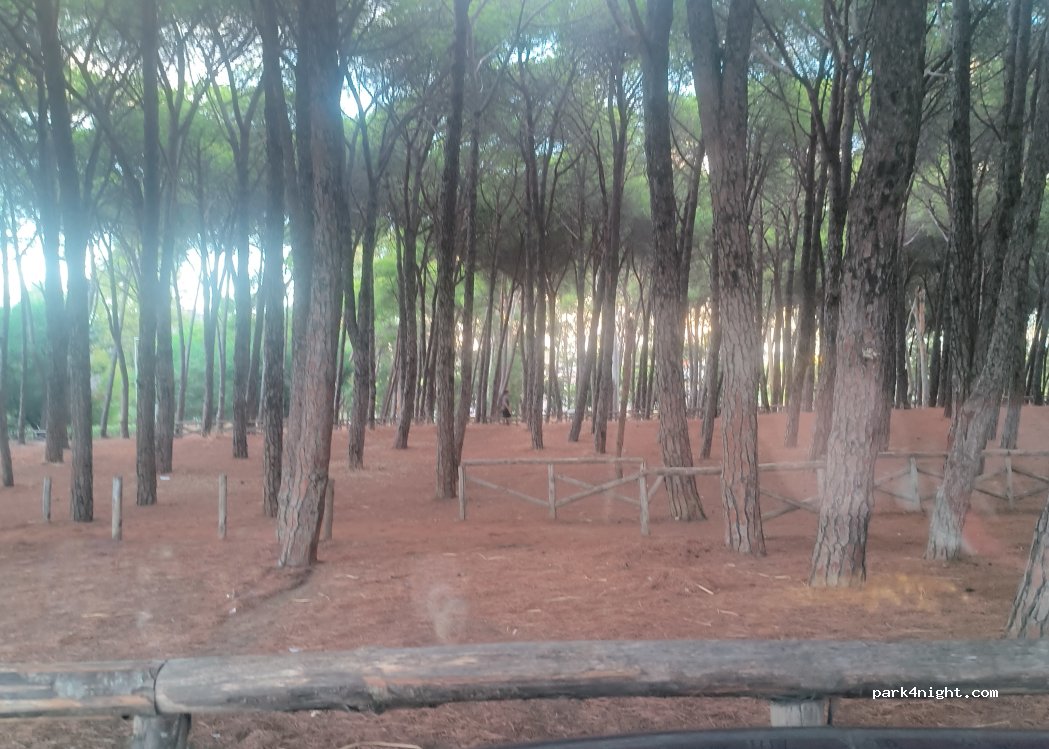 (88100) Catanzaro - 4 Via Gaspare Toraldo — foto 4