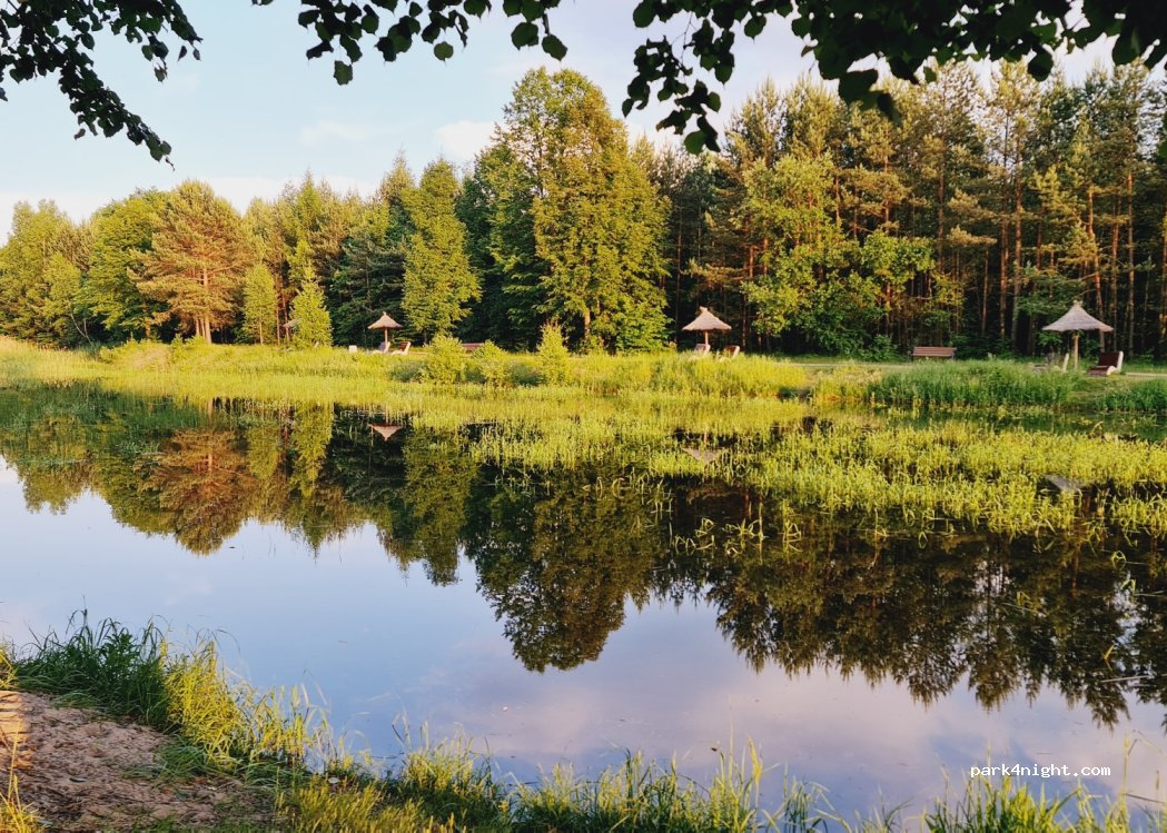 (42-440) Ogrodzieniec - 52 Spacerowa — foto 3
