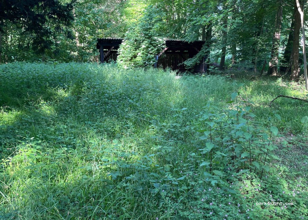 (76744) Wörth am Rhein - Unnamed Road — foto 4