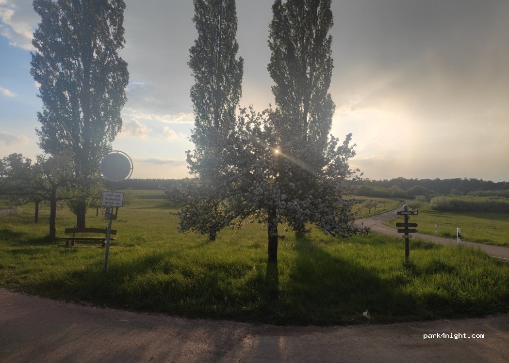 (55430) Urbar - Unnamed Road — foto 3