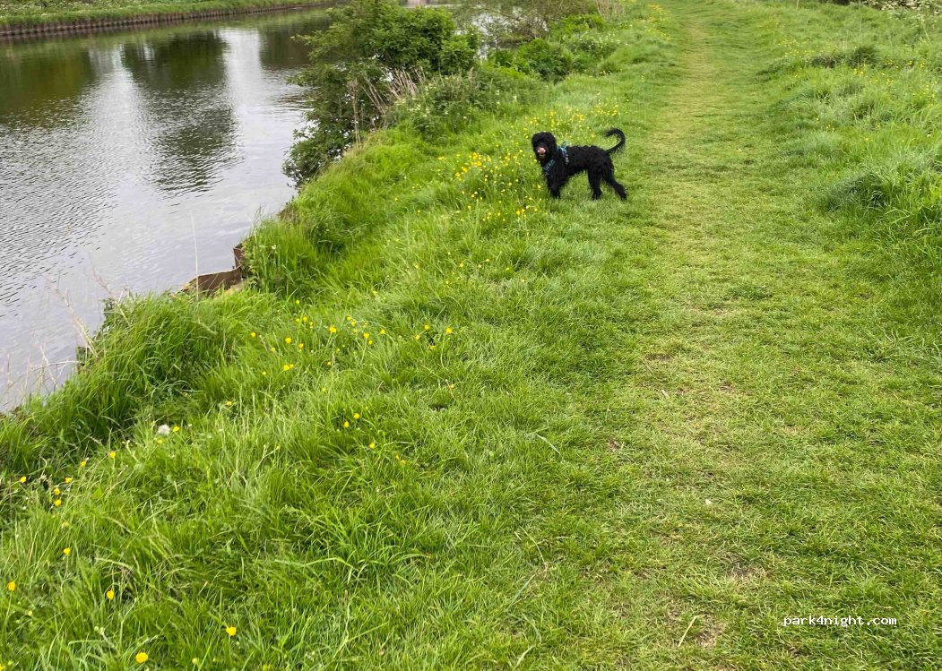 (DN3 1EP) Barnby Dun - Fordstead Lane — foto 3