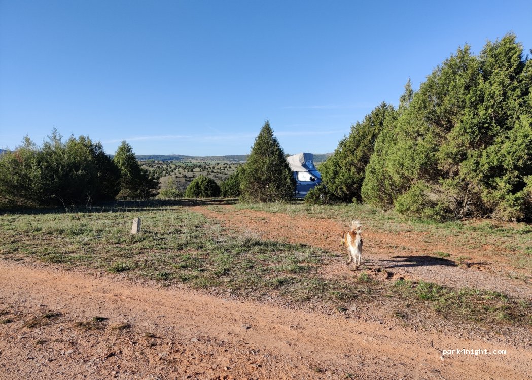 (40541) Honrubia de la Cuesta - — foto