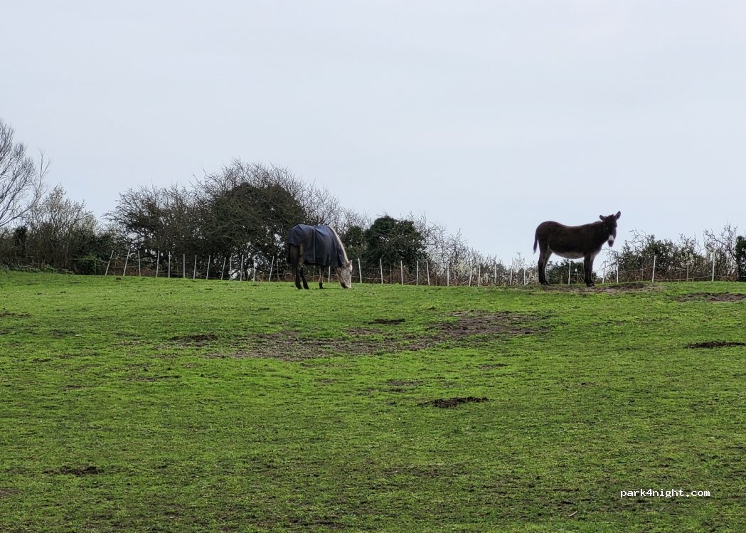 Ferme de la tournerie — foto 3