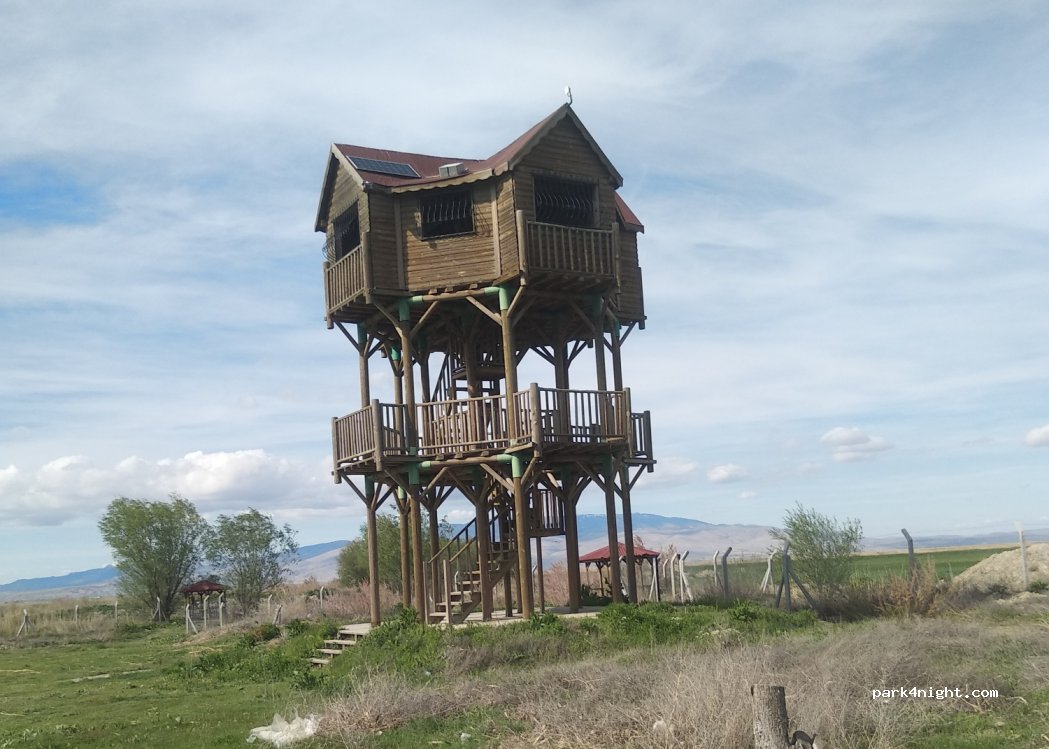 (03702) Çayırpınar - Unnamed Road — foto 2