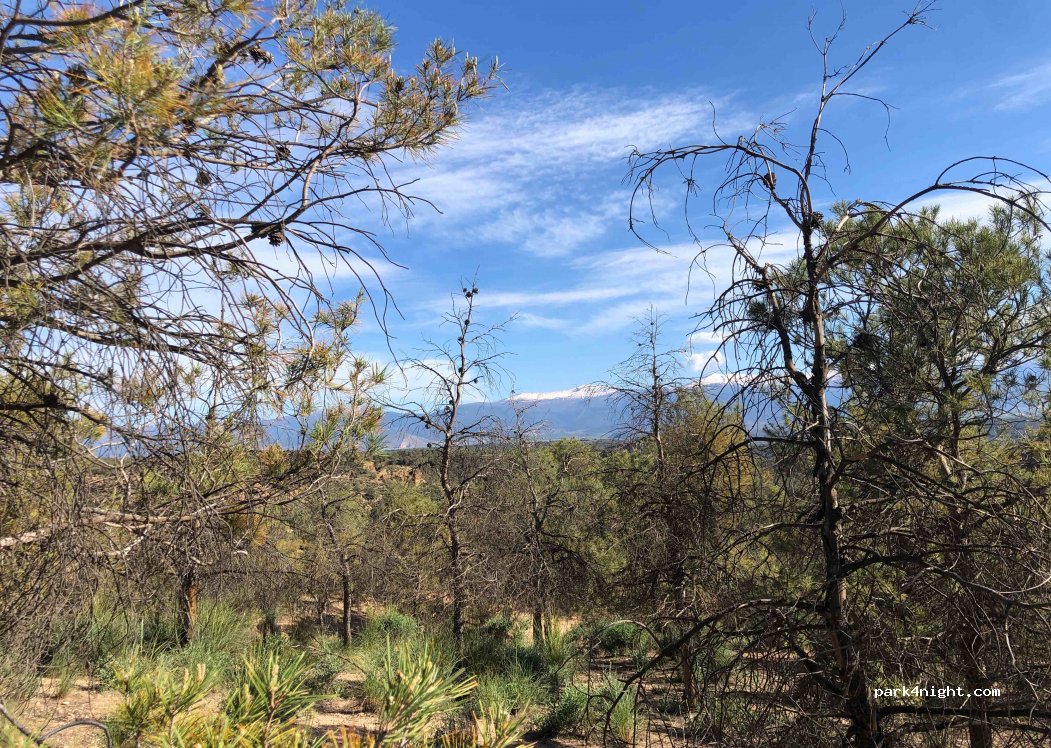 (18500) Guadix - Camino Cueva del Monje — foto
