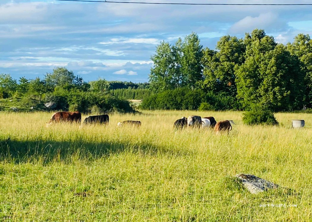 (725 91) Västerås - 18 Askö — foto 3