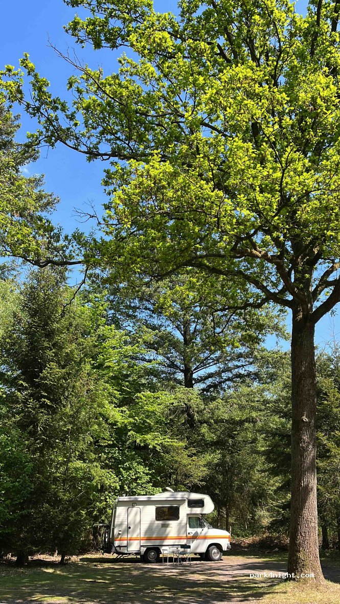 Natuurkampeerterrein Leenderbos — foto