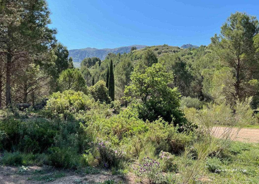 (29200) Antequera - Unnamed Road — foto