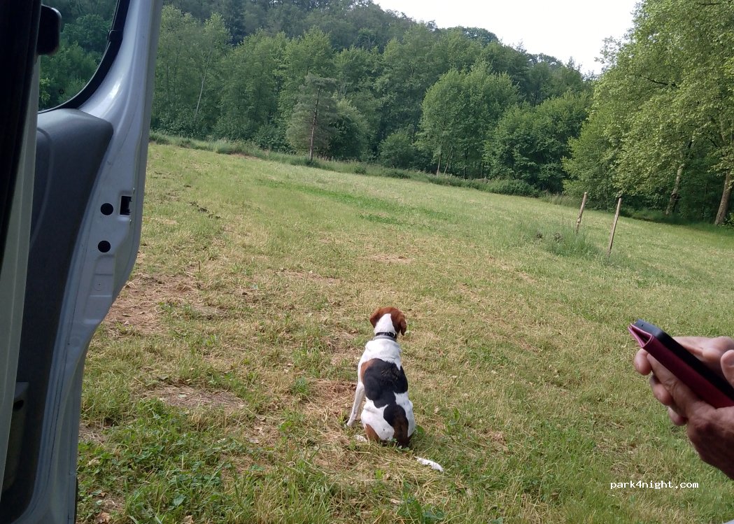 (87600) Rochechouart - — foto