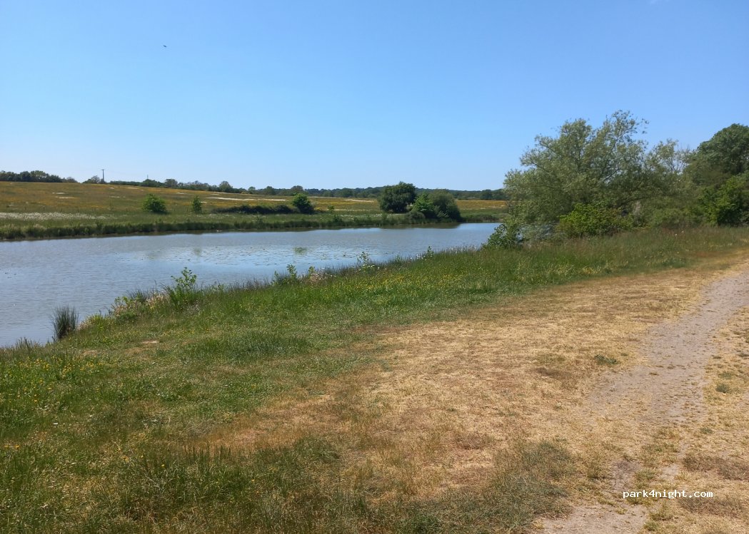 () Ombrée d'Anjou - — foto