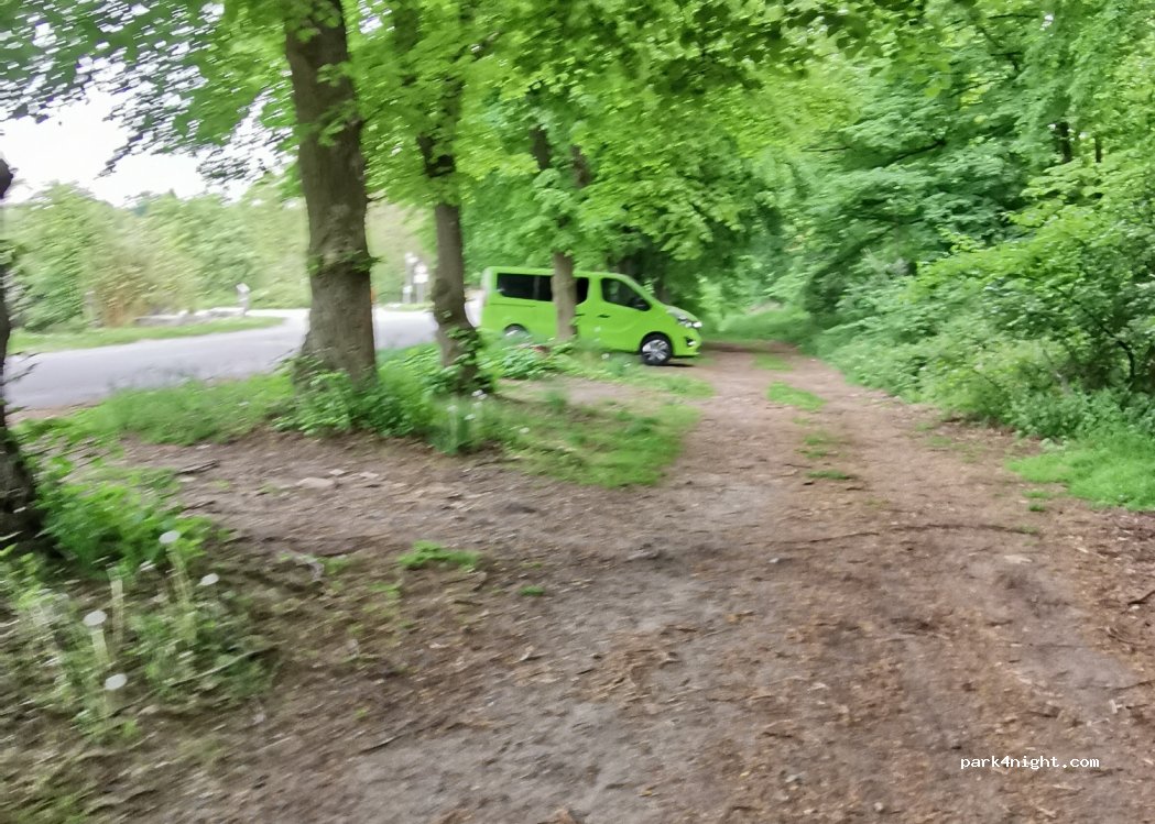 (64569) Nauheim - Berzallee — foto