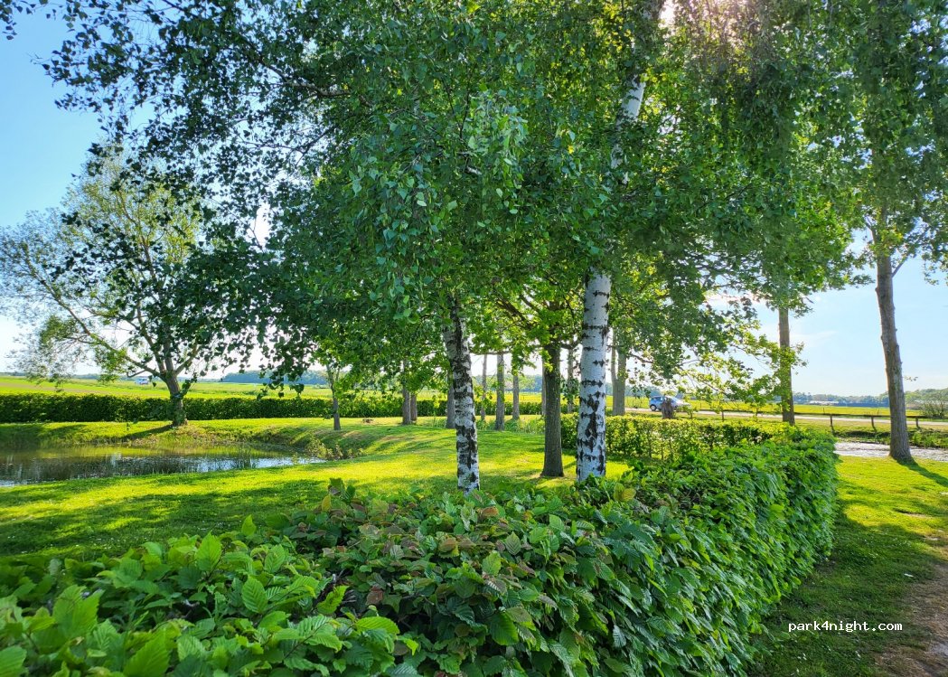 (27190) Nagel-Séez-Mesnil - — foto 2