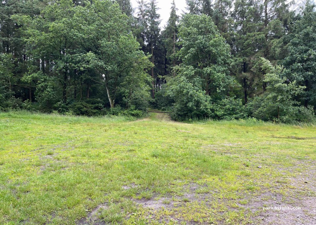 (25842) Langenhorn - Westerwarf — foto 3