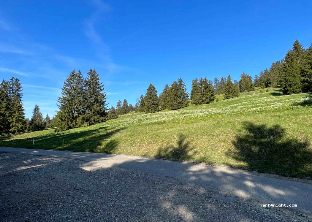 (1619) Châtel-Saint-Denis - — foto