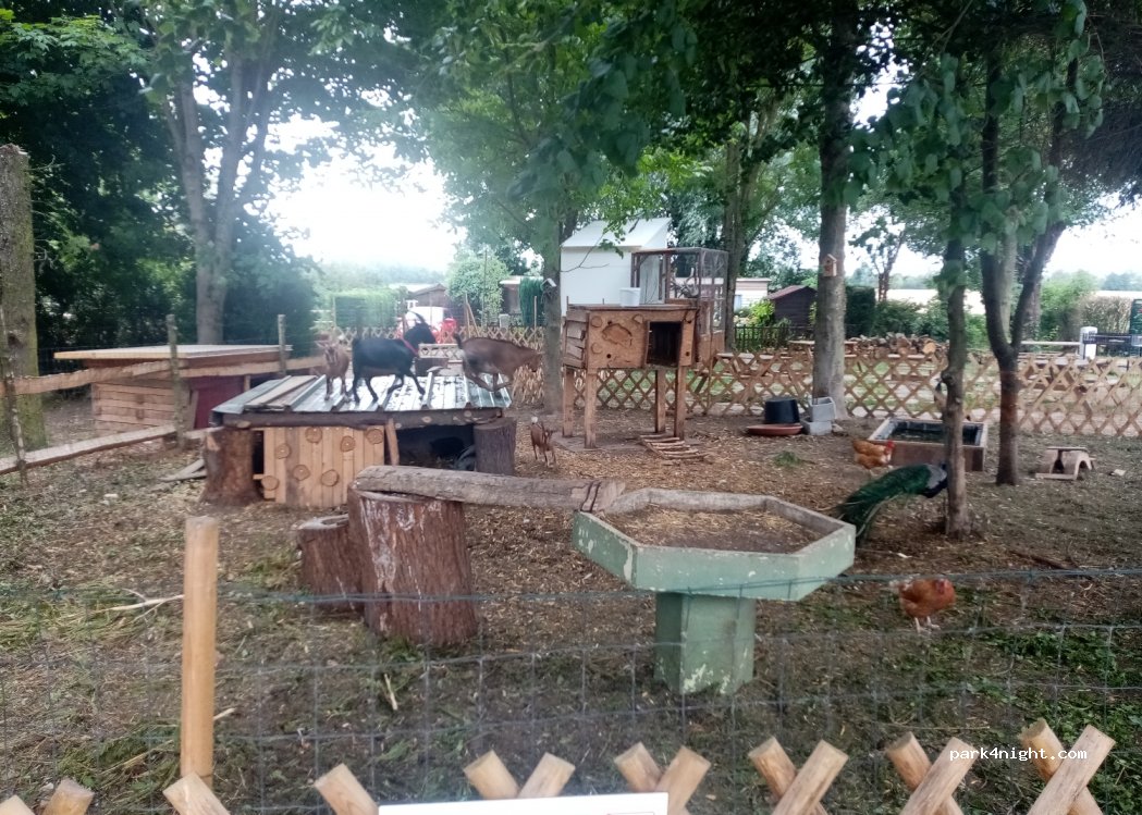 GREENIE CAMP — foto 3