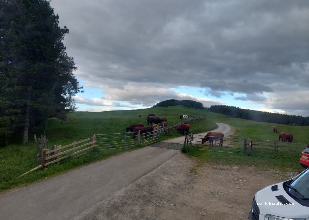 (PH18 5TY) Croftmore - Unnamed Road — foto 2