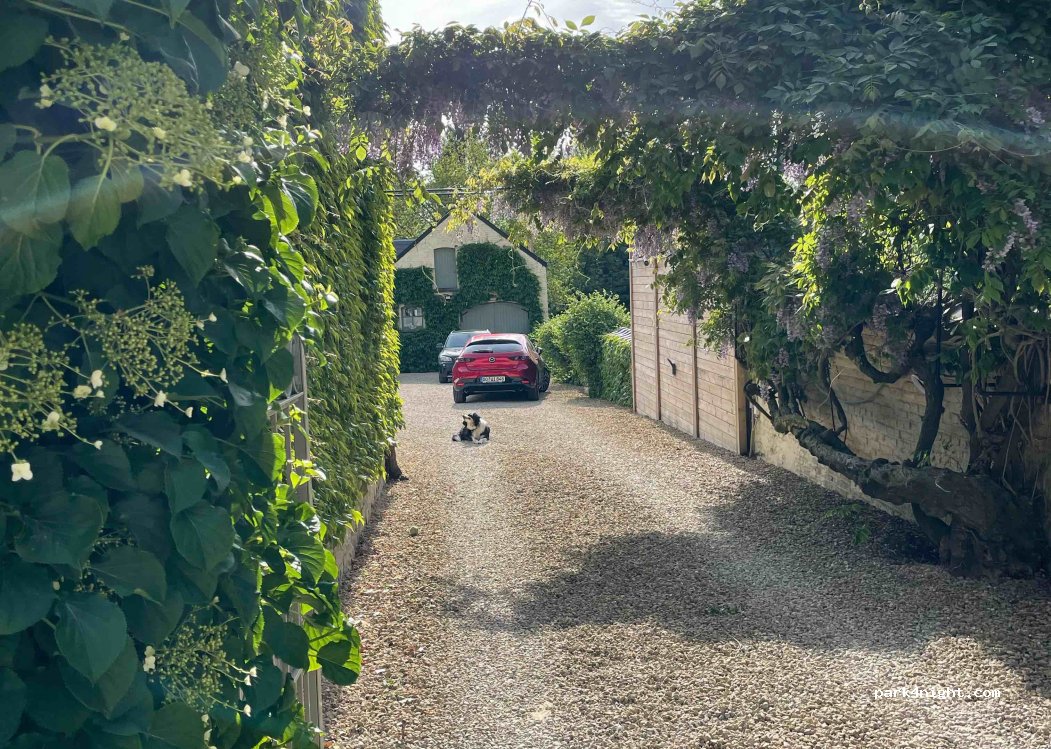 Le Jardin des Secrets — foto