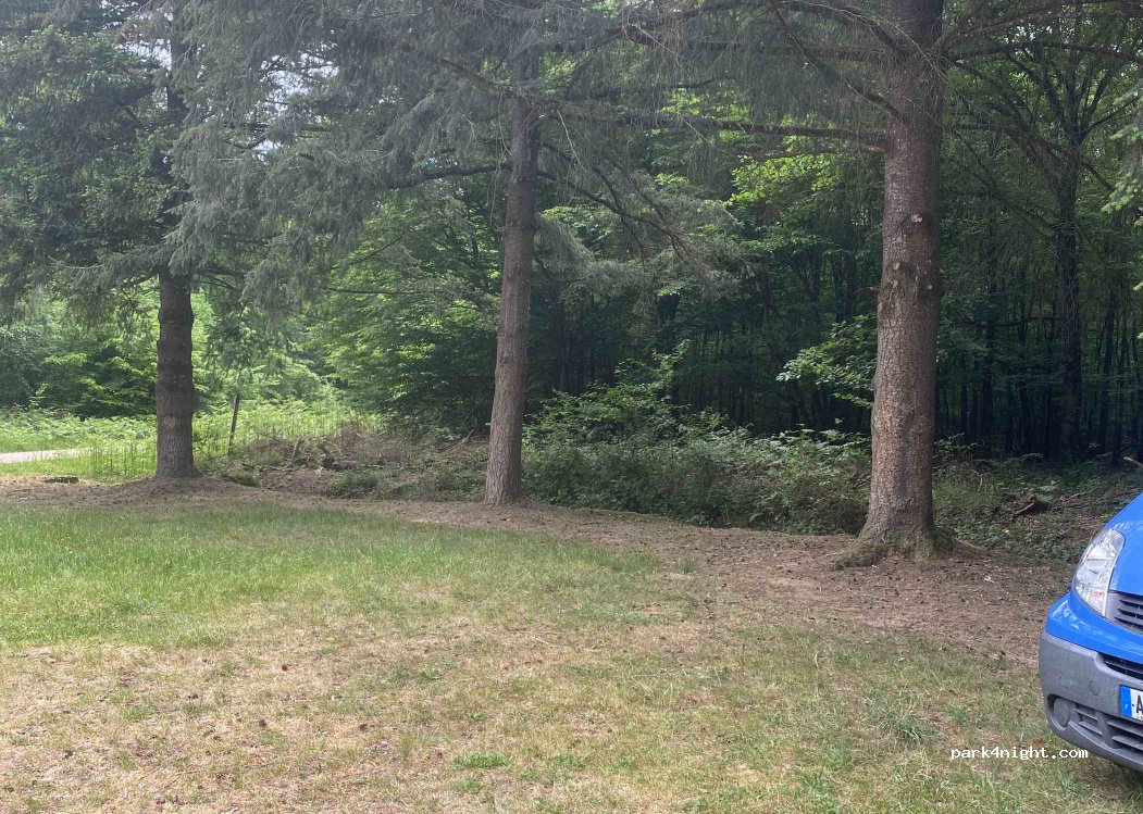 (03360) Meaulne-Vitray - Forêt de Tronçais — foto
