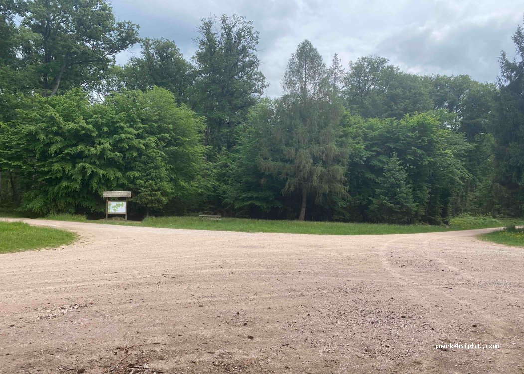 (03360) Meaulne-Vitray - Forêt de Tronçais — foto 2