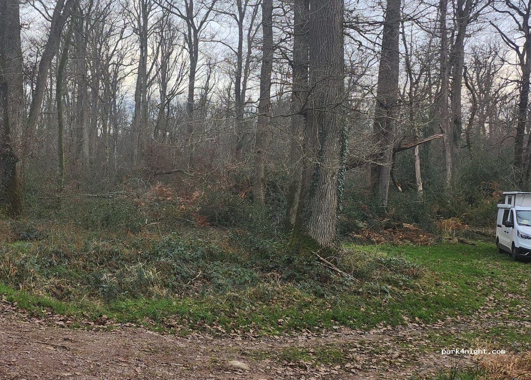(03360) Meaulne-Vitray - Forêt de Tronçais — foto 4