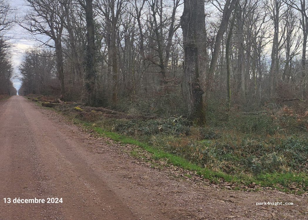 (03360) Meaulne-Vitray - Forêt de Tronçais — foto 5