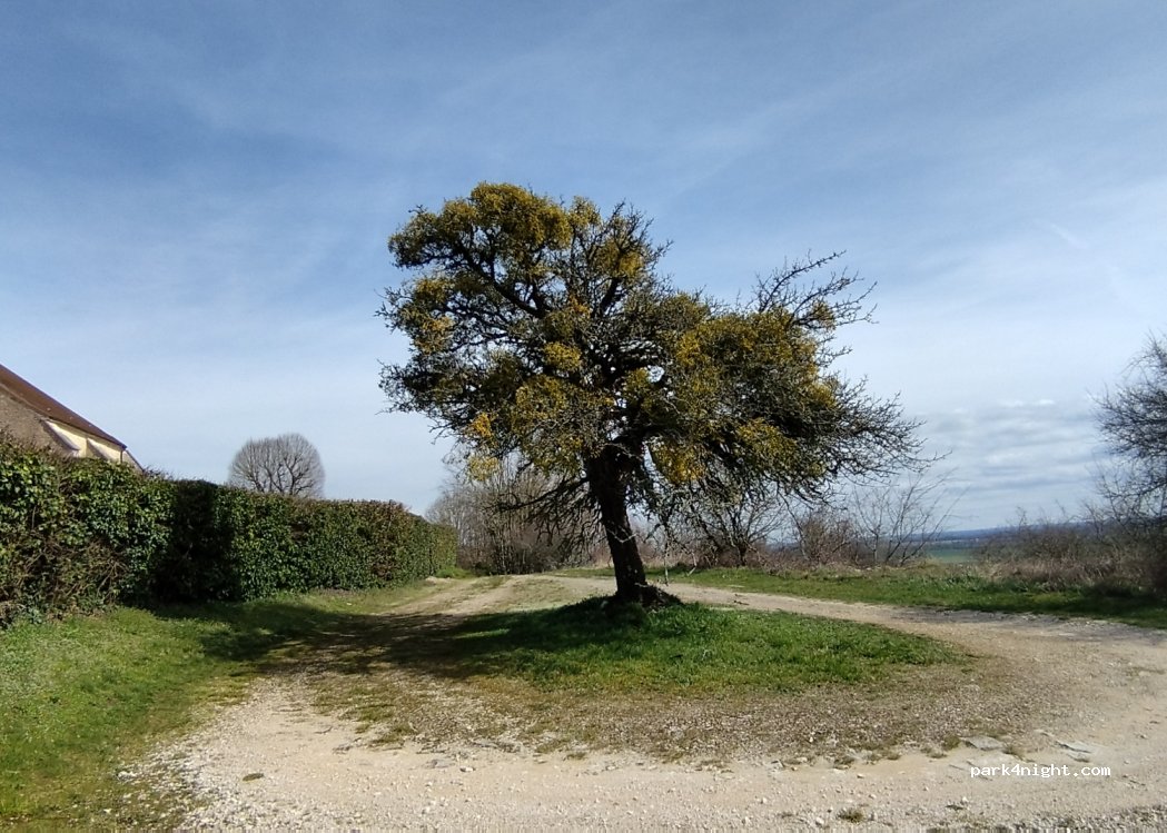 (21330) Poinçon-lès-Larrey - Unnamed Road — foto 4