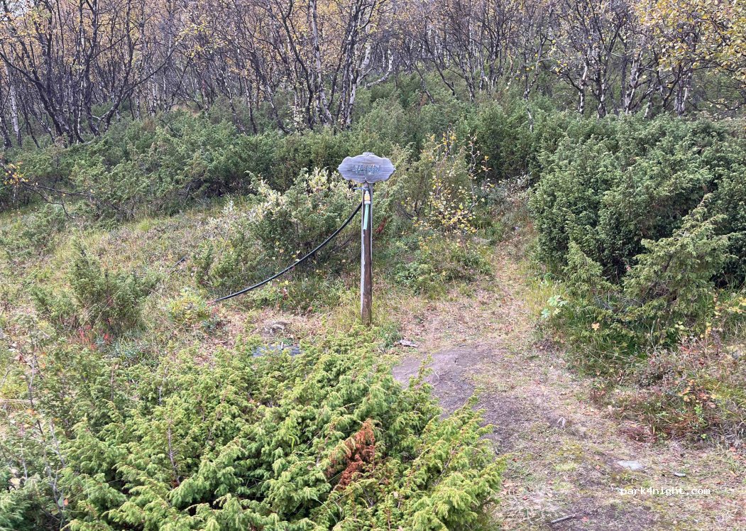 (2661) Hjerkinn - 72 Folldalsvegen — foto 3
