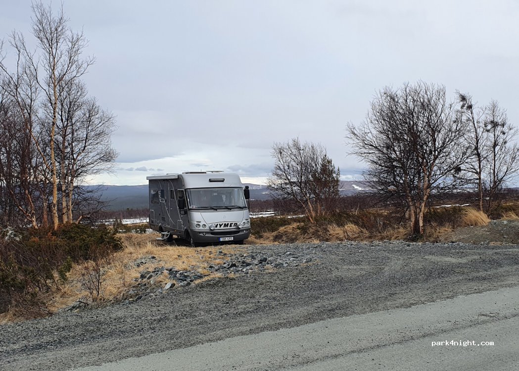 (845 99) Ljungdalen - — foto