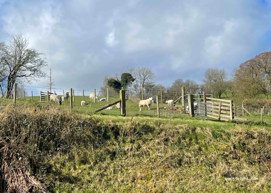 Pentre Penarth Campsite — foto 3