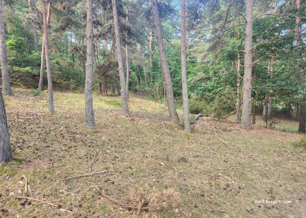 (43000) Polignac - — foto 2