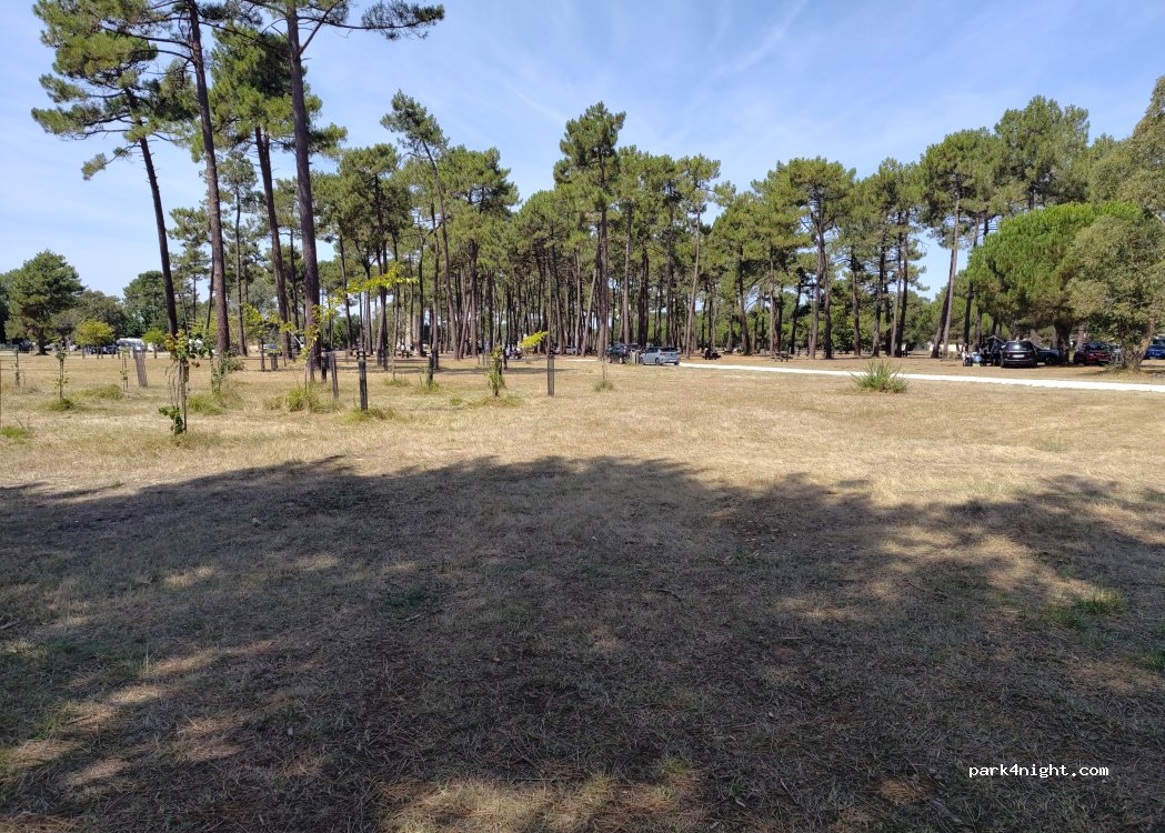 (33930) Vendays-Montalivet - Lède de Montalivet — foto 4