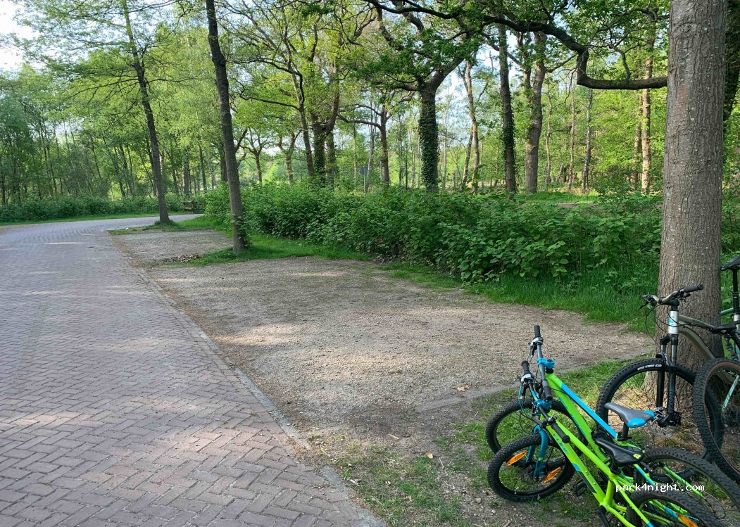 (8453) Oranjewoud - 8453 Marijkemuoiwei — foto