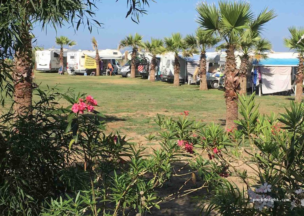 Camping  Mare Pineta — foto 2