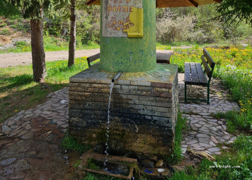 () Rožanstvo - 195 — foto