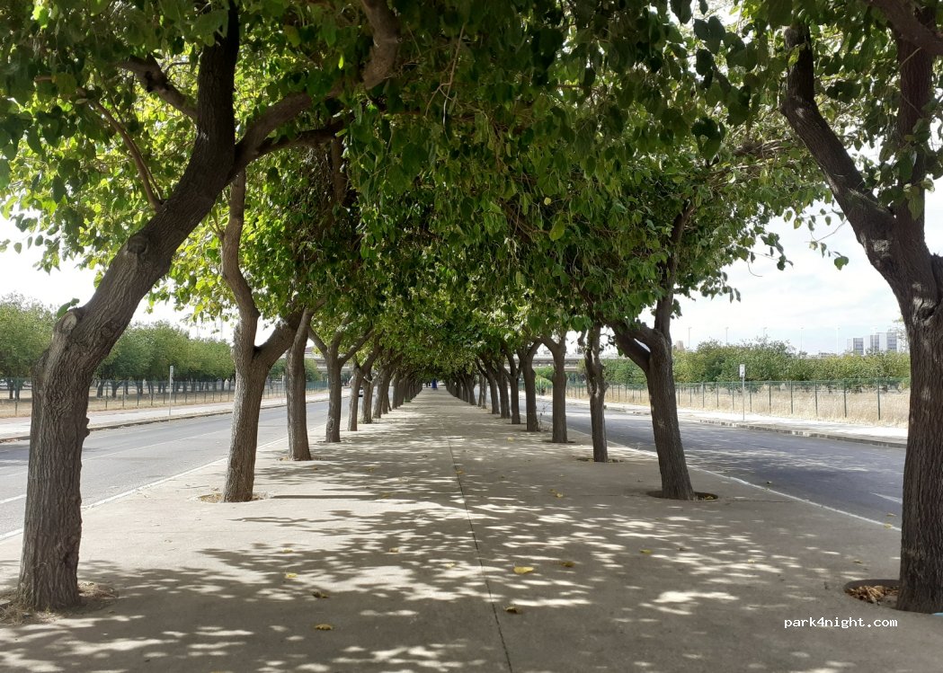 (41092) Sevilla - Zona Isla de la Cartuja — foto 4