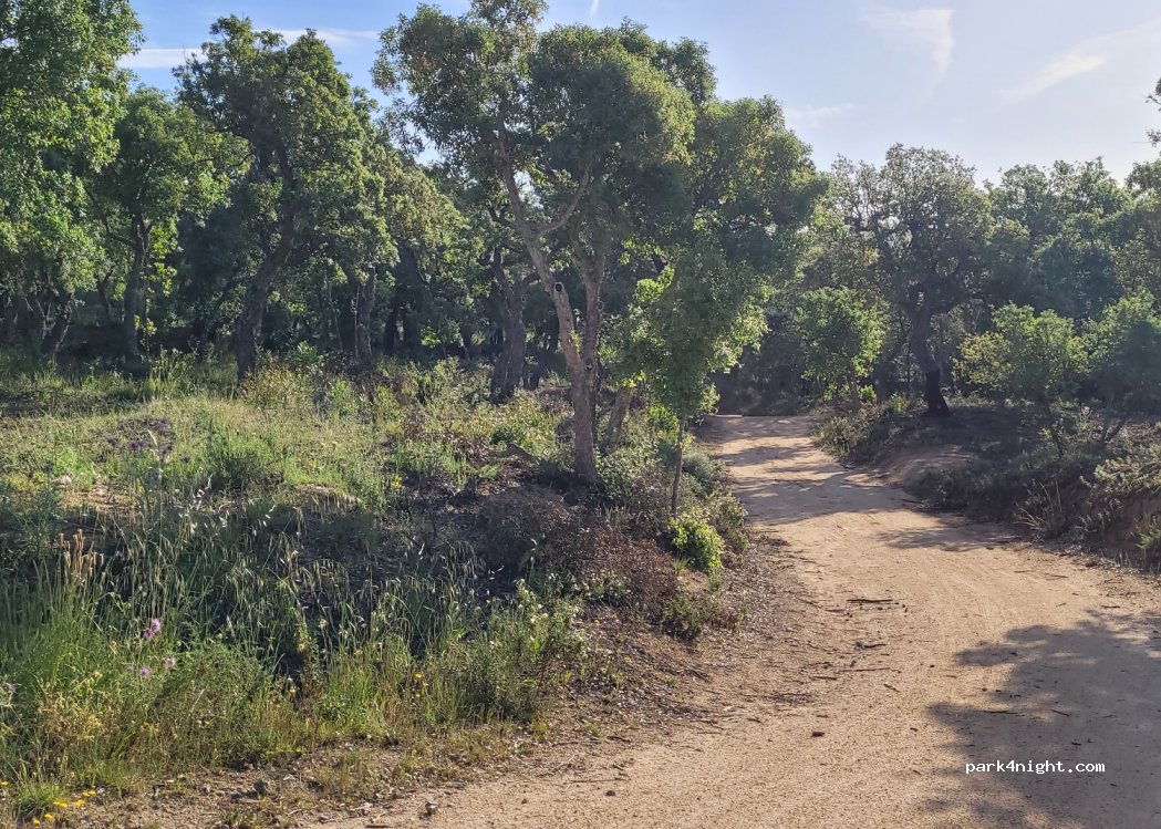 (17240) Veïnat de Ganix - Unnamed Road — foto 2