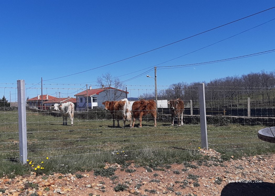 (37607) Navarredonda de la Rinconada - Calle Teso de las  Corzas — foto 2