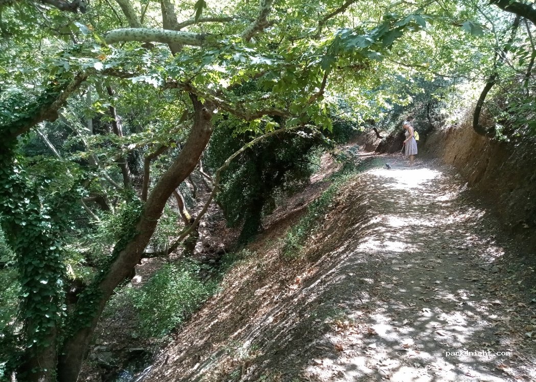 (320 01) Aliartos - Unnamed Road — foto 2