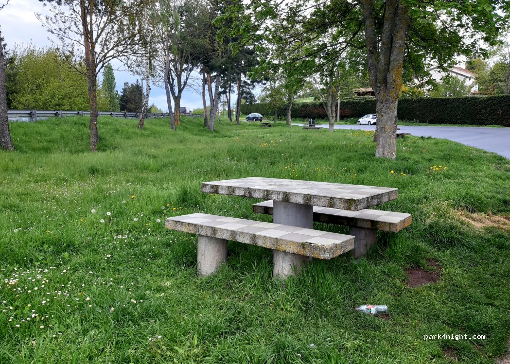 (43370) Cussac-sur-Loire - 12 N88 — foto