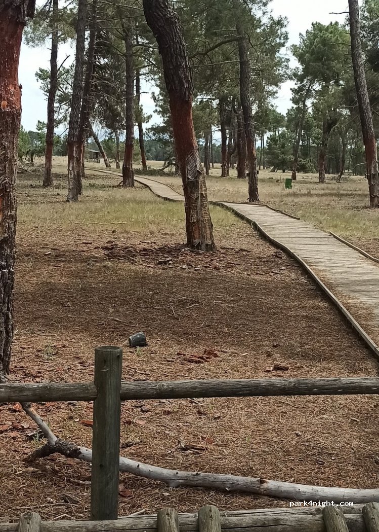 (40330) Fuenterrebollo - Unnamed Road — foto 3