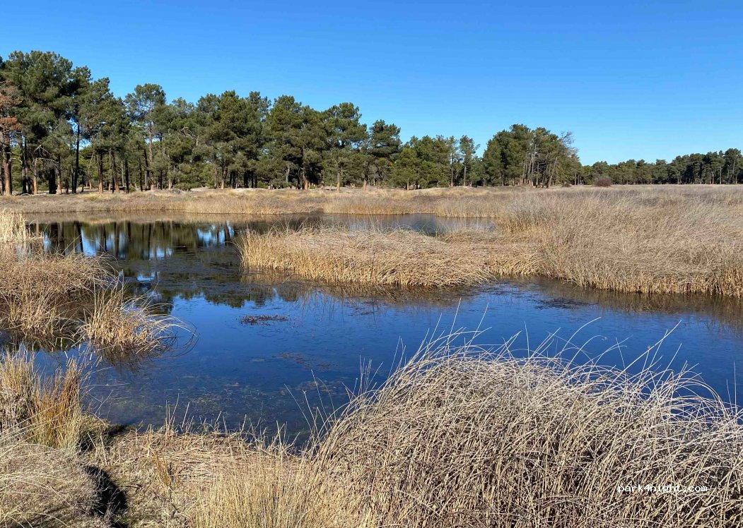 (40330) Fuenterrebollo - Unnamed Road — foto 4