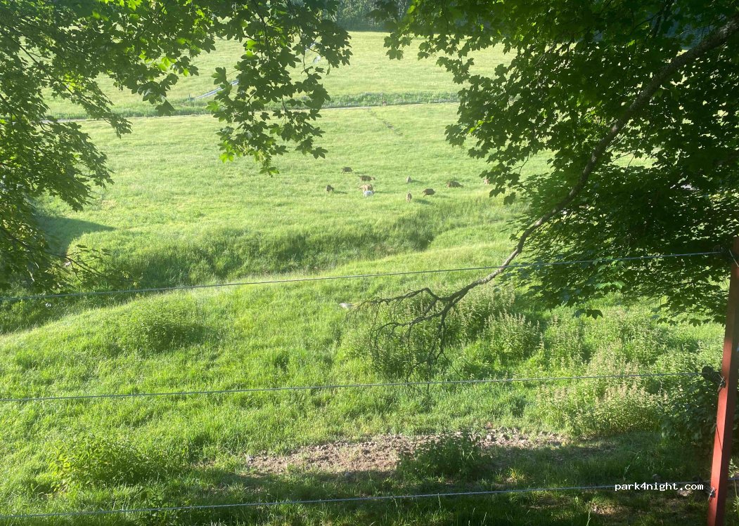 (79868) Feldberg (Schwarzwald) - 8 Edwin-Vogt-Weg — foto 3