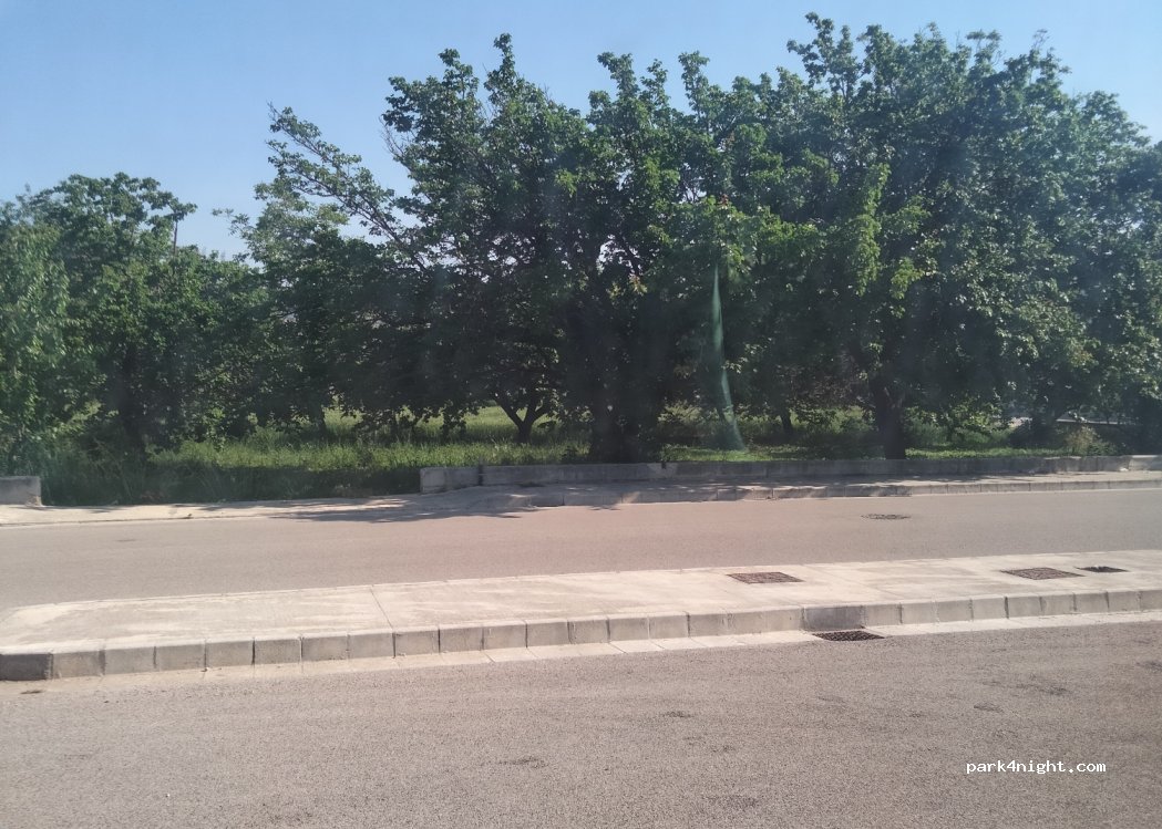(81100) Caserta - 7 Via Ada Negri — foto