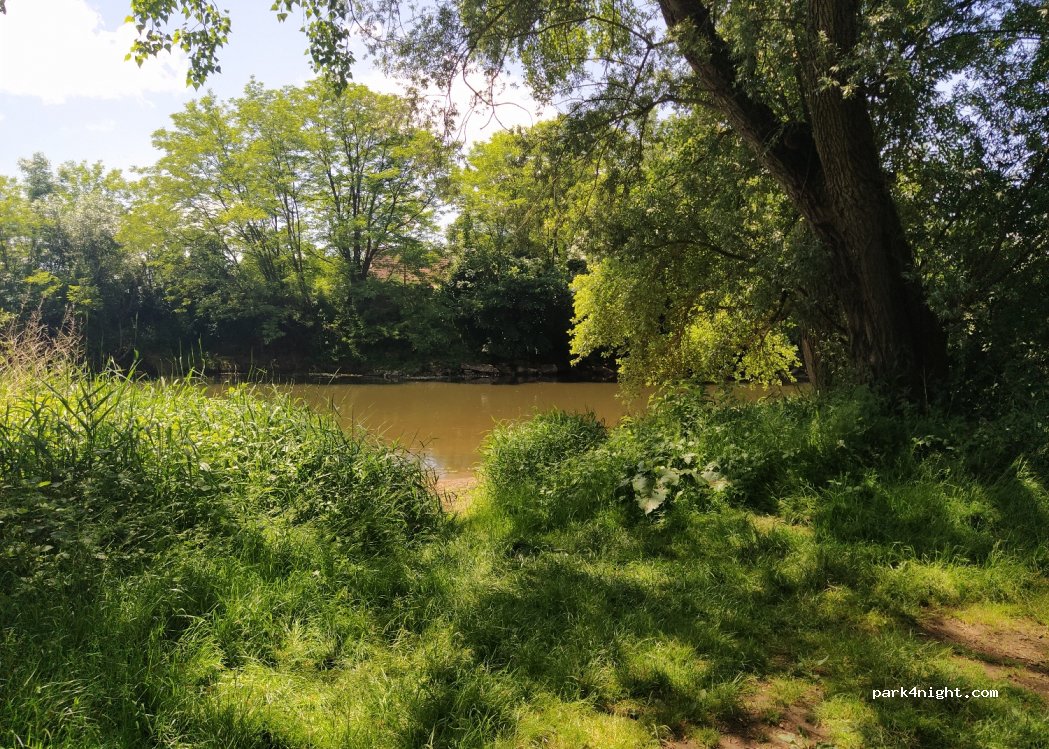 (71160) La Motte-Saint-Jean - — foto 3