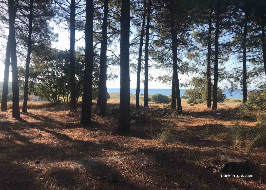 (22750) Gülçavuş - — foto 2