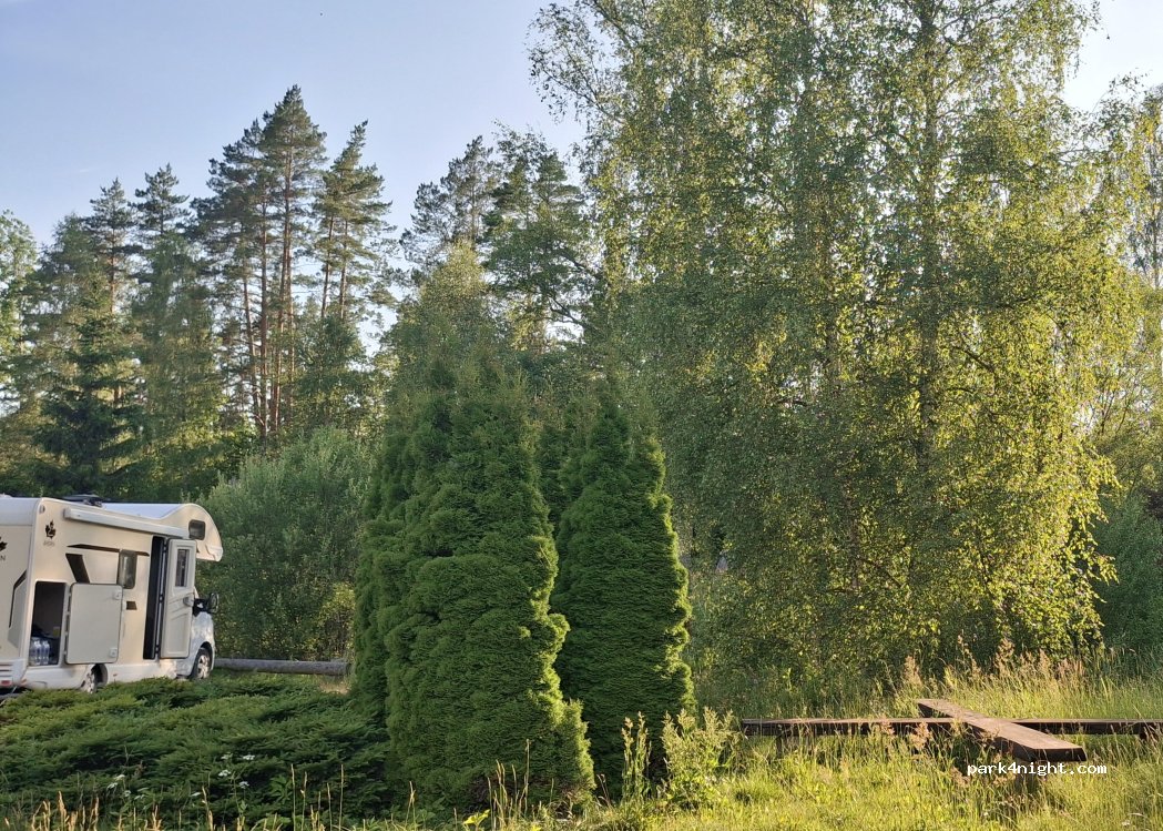 (3701) Senpokaiņi - — foto 5