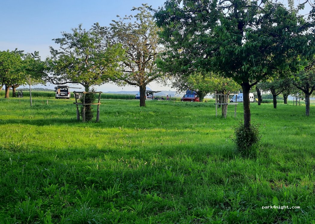 (6215) Schwarzenbach - 2 Lüsch — foto 2