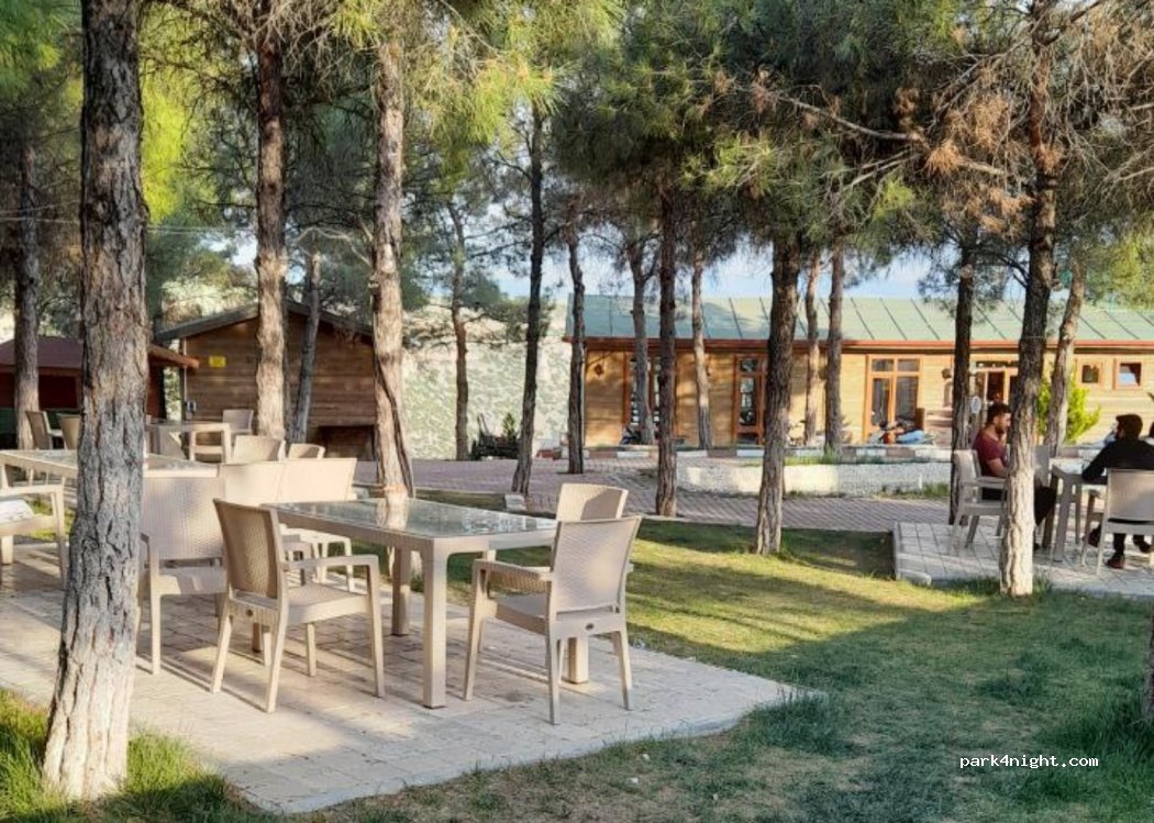 (64900) Çamlık Mesire Alanı - Unnamed road — foto 3