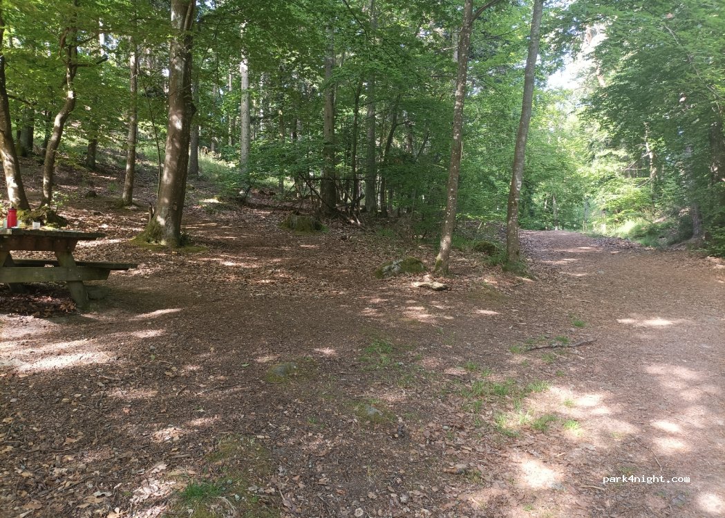 (68920) Wintzenheim - — foto